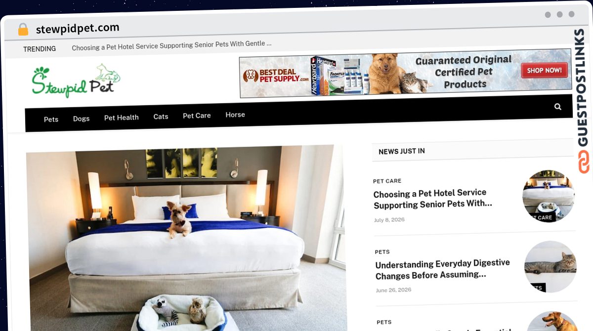 Publish Guest Post on stewpidpet.com