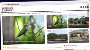 Publish Guest Post on wildlifesafari.info