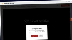 Publish Guest Post on flashingfile.com