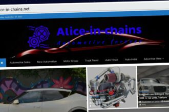 Publish Guest Post on alice-in-chains.net