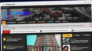 Publish Guest Post on amegas.net