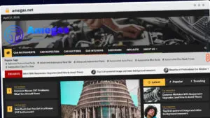 Publish Guest Post on amegas.net