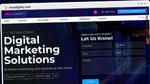 Publish Guest Post on brandignity.com