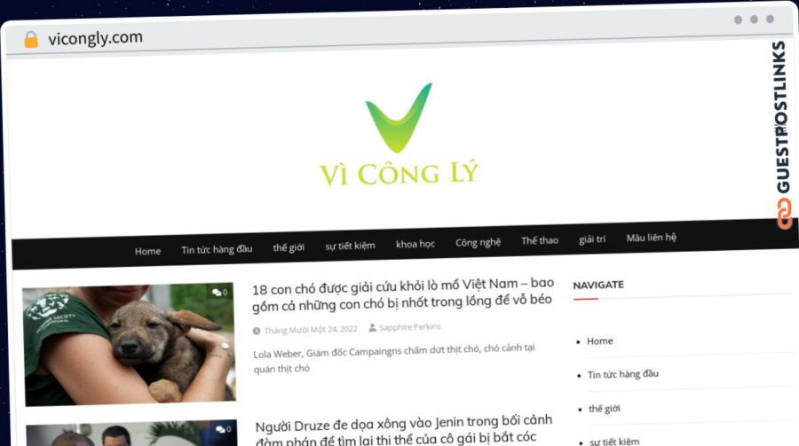 Publish Guest Post on vicongly.com