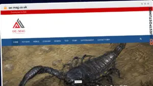 Publish Guest Post on oe-mag.co.uk