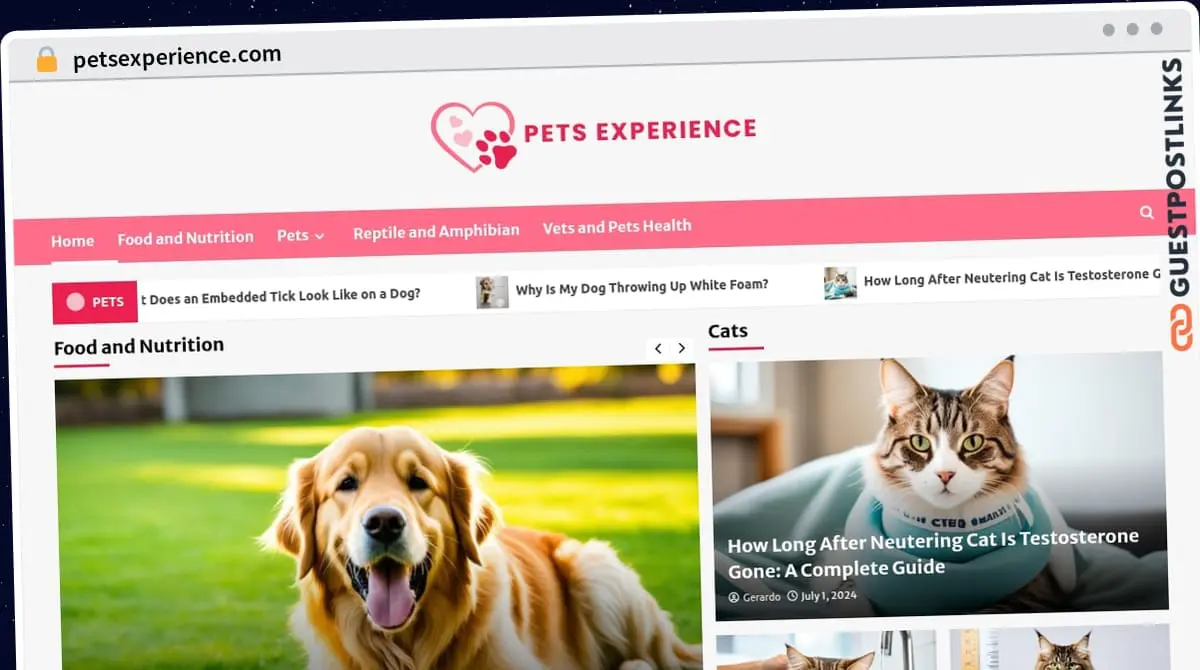 Publish Guest Post on petsexperience.com