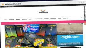 Publish Guest Post on websitesunblock.com