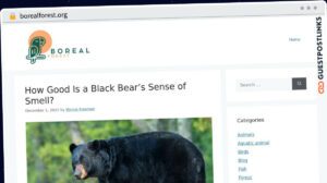 Publish Guest Post on borealforest.org