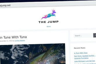 Publish Guest Post on thejump.net