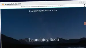 Publish Guest Post on bluemarlinlodge.com