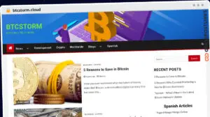 Publish Guest Post on btcstorm.cloud