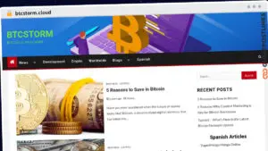 Publish Guest Post on btcstorm.cloud