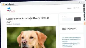 Publish Guest Post on petsyfy.com