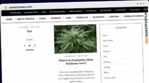 Publish Guest Post on samosirnews.com