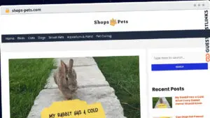 Publish Guest Post on shops-pets.com
