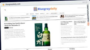 Publish Guest Post on bluegraydaily.com