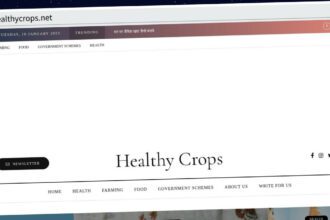 Publish Guest Post on healthycrops.net