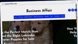 Publish Guest Post on businesaffair.com