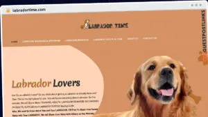 Publish Guest Post on labradortime.com