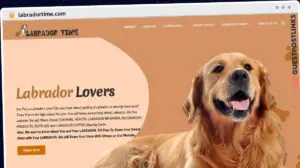 Publish Guest Post on labradortime.com