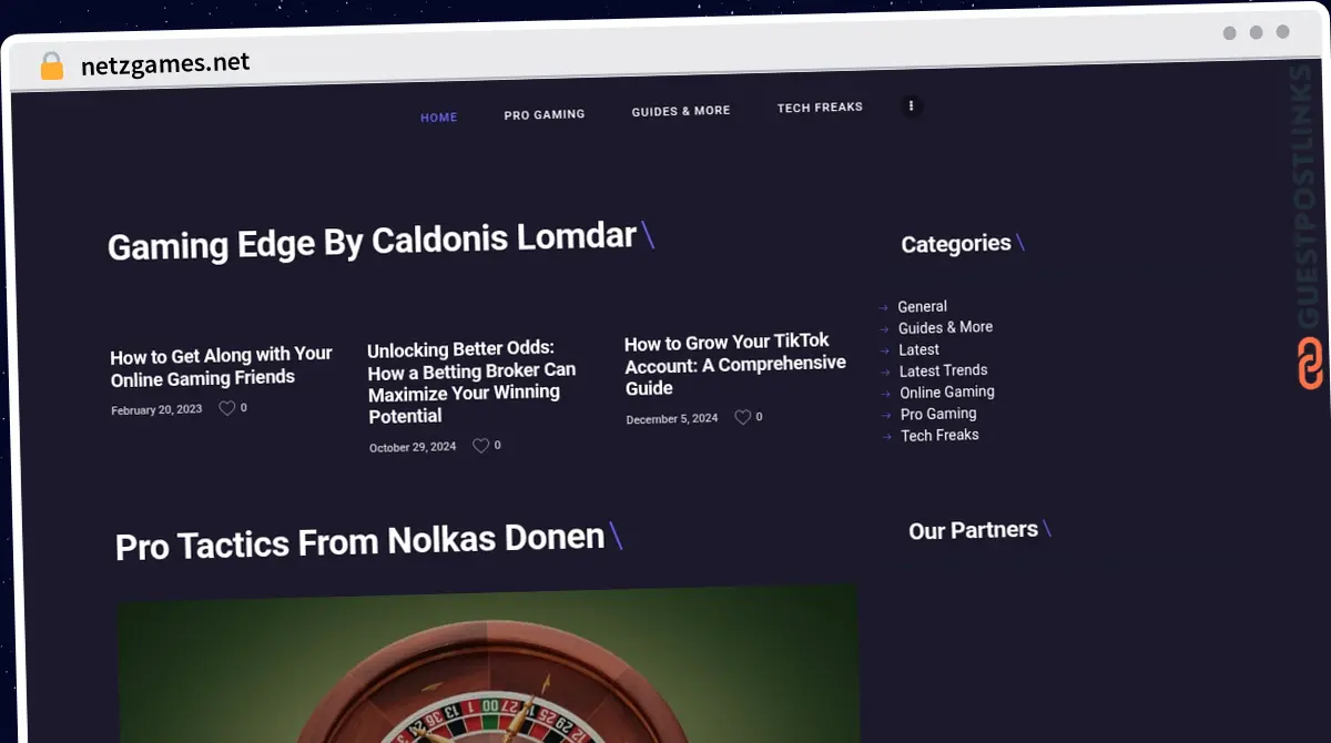 Publish Guest Post on netzgames.net