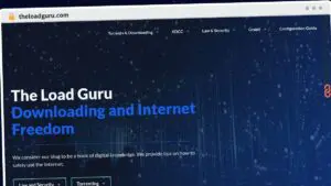 Publish Guest Post on theloadguru.com