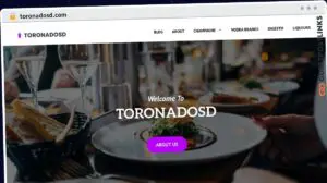 Publish Guest Post on toronadosd.com