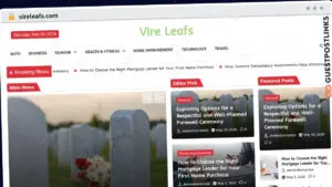 Publish Guest Post on vireleafs.com