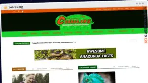 Publish Guest Post on cobras.org