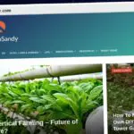 Publish Guest Post on organizewithsandy.com