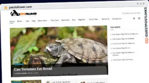 Publish Guest Post on petsfollower.com
