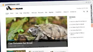 Publish Guest Post on petsfollower.com