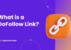 DoFollow Link