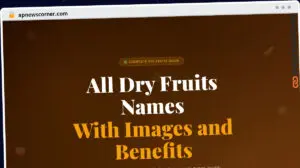 Publish Guest Post on apnewscorner.com