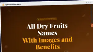 Publish Guest Post on apnewscorner.com