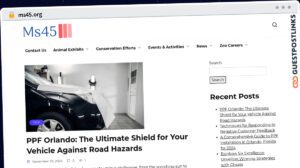 Publish Guest Post on ms45.org