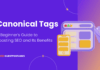 Canonical Tags