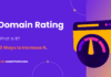 Domain Rating