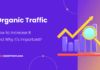 Organic Traffic