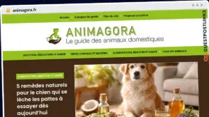 Publish Guest Post on animagora.fr