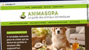 Publish Guest Post on animagora.fr