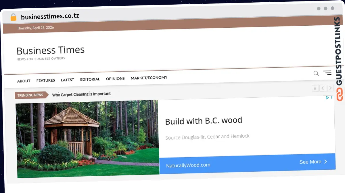 Publish Guest Post on businesstimes.co.tz
