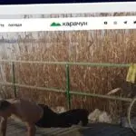 Publish Guest Post on karachun.com.ua