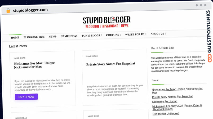 Publish Guest Post on stupidblogger.com