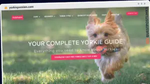 Publish Guest Post on yorkiepassion.com