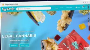Publish Guest Post on baysmokes.com