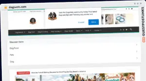 Publish Guest Post on dogsvets.com