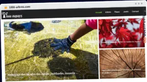 Publish Guest Post on 1000-arbres.com