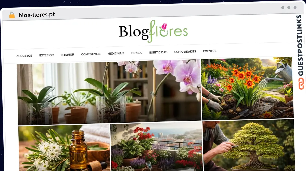 Publish Guest Post on blog-flores.pt