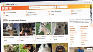 Publish Guest Post on board.mur.tv